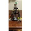 Image 1 : CROSS BOW BOLTS AND QUIVER APROX 18