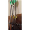 Image 4 : CROSS BOW BOLTS AND QUIVER APROX 18