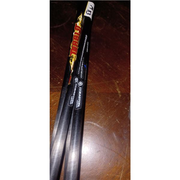 6 CARBON EXPRESS MAXIMA  AND 6 RAVIN 400GR CROSSBOW ARROWS 20"