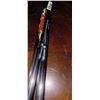 Image 1 : 6 CARBON EXPRESS MAXIMA  AND 6 RAVIN 400GR CROSSBOW ARROWS 20"