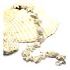 Image 2 : Sterling Silver Nautical Seashell Bracelet 8"
