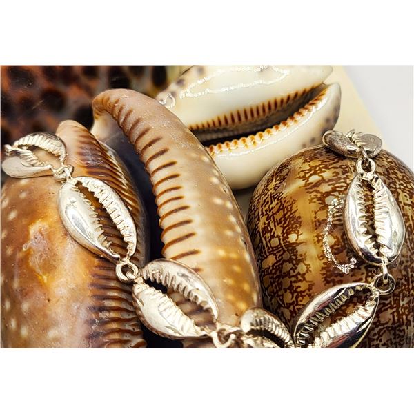 Sterling Silver Cowrie Shell Link Bracelet