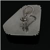 Image 3 : Earrings