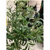 Image 2 : Artificial Olive Tree with Pot – Approx. 5 Feet Tall