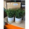 Image 1 : Bouclair Artificial Plant Set of Two