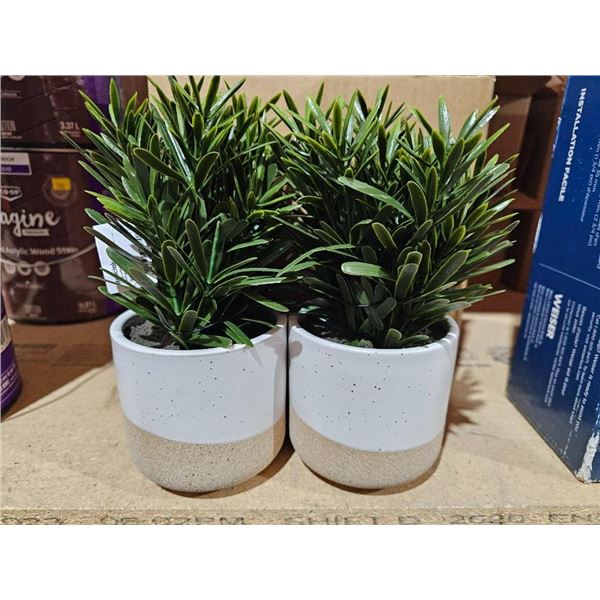 Set of Two Artificial Potted Plants with Ceramic Planters