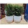 Image 1 : Set of Two Artificial Potted Plants with Ceramic Planters