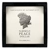 Image 4 : 2021 Silver Peace Dollar
