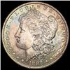 1882-O Toned Morgan Silver Dollar CHOICE AU