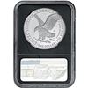 Image 7 : [3] 2023-W Silver Eagle NGC PF70 DCAM