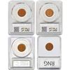 Image 5 : 1945-1956 Gem BU Wheat Cent Set [8 Coins] NGC/PCGS MS65/66 RD