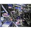 Image 1 : X-Men Apocalypse cast signed movie photo