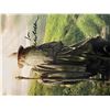 Image 1 : Harry Potter Sir Ian McKellen signed photo