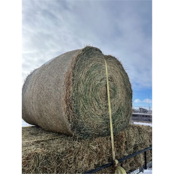 ROUND BALES OF HAY