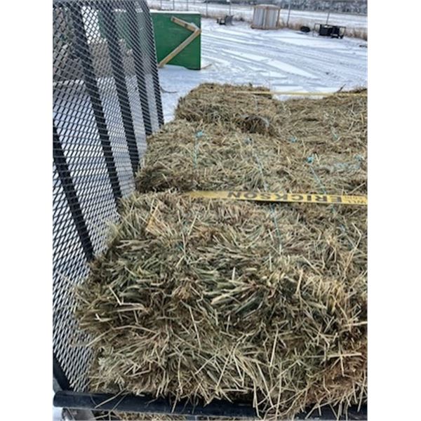 SQUARE BALES OF HAY