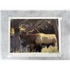 LuRay Parker Signed Print Yellowstone Bull Elk