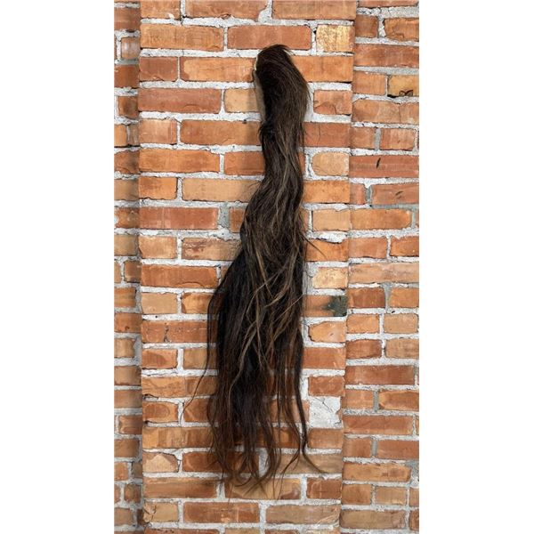 Tanned Horse Tail