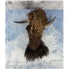 Image 9 : Crow Native American Indian Buffalo Headdress