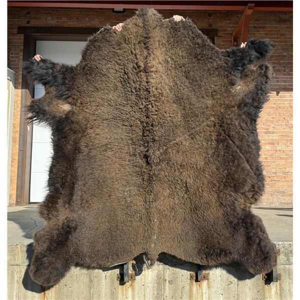 Large Taxidermy Montana Buffalo Hide Robe Rug