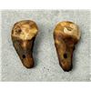 Image 2 : Native American Indian Montana Bull Elk Teeth