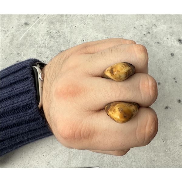 Native American Indian Montana Bull Elk Teeth