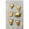 Image 3 : Montana Bull Elk Teeth