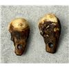 Image 2 : Native American Indian Montana Bull Elk Teeth
