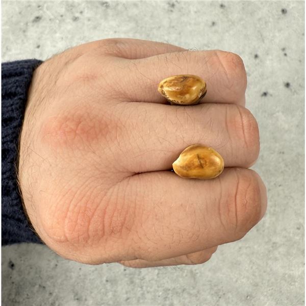 Native American Indian Montana Bull Elk Teeth