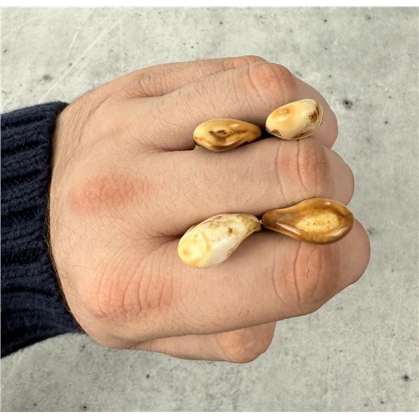 Montana Bull Elk Teeth