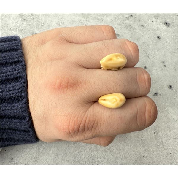 Montana Bull Elk Teeth