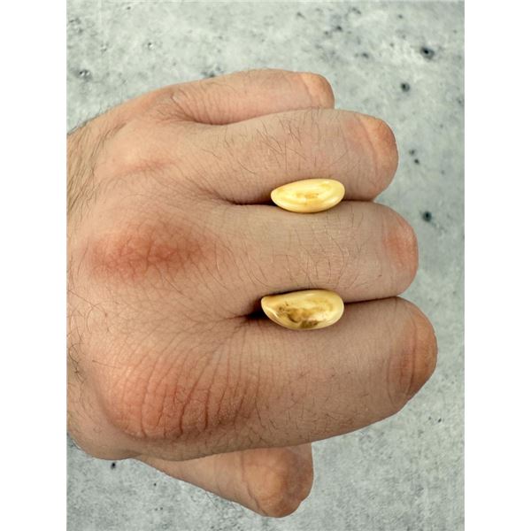 Montana Bull Elk Teeth