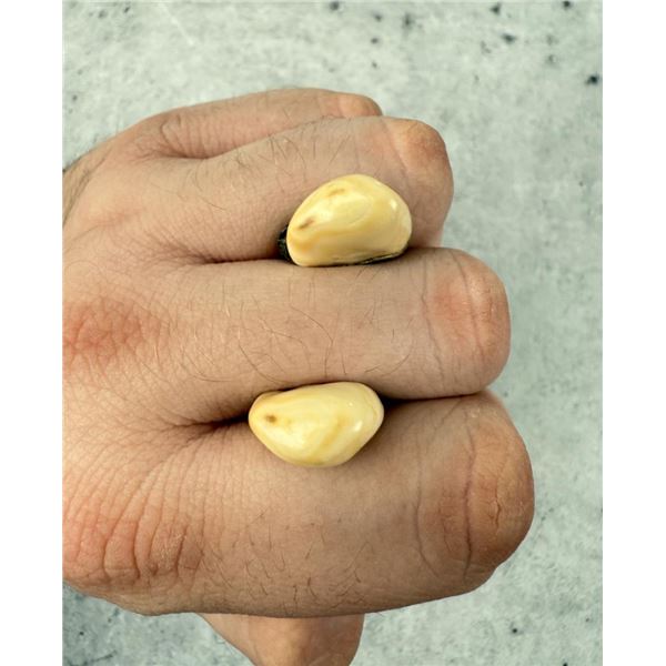 Montana Bull Elk Teeth