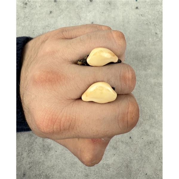 Montana Bull Elk Teeth