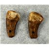 Image 3 : Native American Indian Montana Bull Elk Teeth