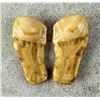 Image 3 : Montana Bull Elk Teeth