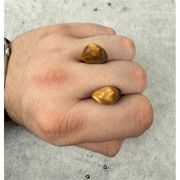 Native American Indian Montana Bull Elk Teeth