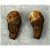Image 2 : Native American Indian Montana Bull Elk Teeth