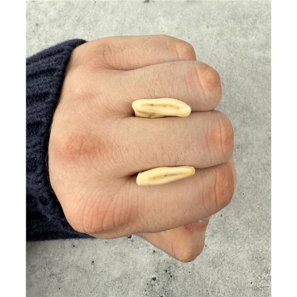 Montana Bull Elk Teeth