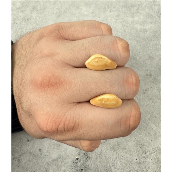 Montana Bull Elk Teeth