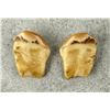 Image 3 : Montana Bull Elk Teeth