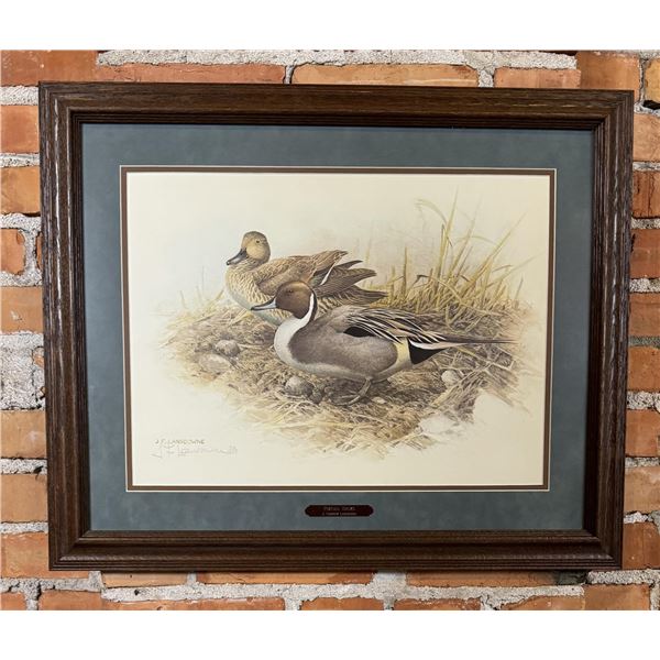 J. Fenwick Lansdowne Pintail Ducks Numbered Print