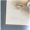 Image 2 : J. Fenwick Lansdowne Pintail Ducks Numbered Print