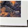 Image 2 : Stephen Lyman Sunset Fire Signed Print