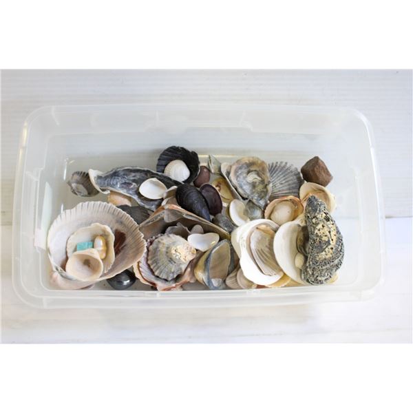 BIN OF SHELLS - ESTATE