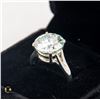 Image 2 : #1013-HAND& SET 6.00 CT ROUND