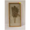 Image 1 : GLASS ENCASED WHEAT SHOWHOME DECOR 14" X 28"