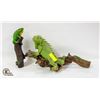 Image 1 : ESTATE LARGE IGUANA STATUES ON DRIFTWOOD