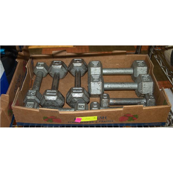 DUMBBELL SET 2X10-2X8-2X5-2X3 TORAL