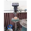 Image 2 : Delta 17-900 Floor Drill Press