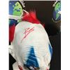 Image 2 : BILL SKARSGARD SIGNED 'PENNYWISE' MASK  WORLD AUTOS COA